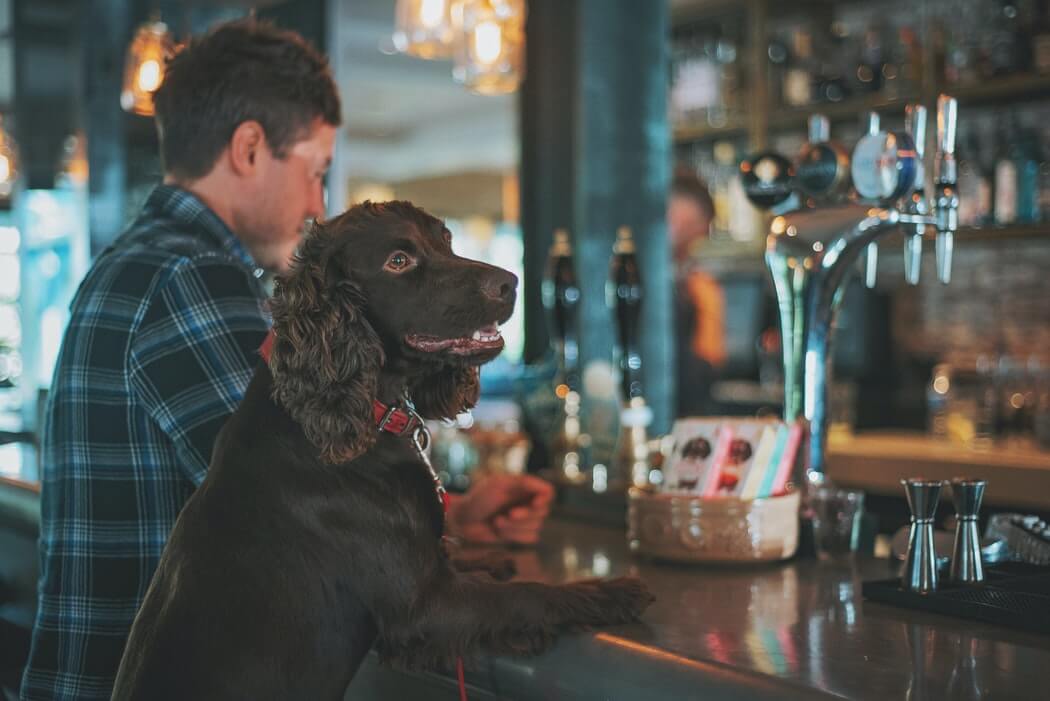dog-friendly-pubs-yorkshire