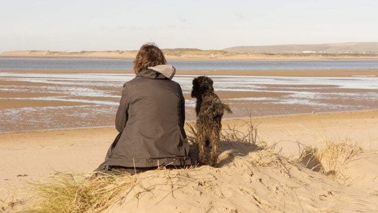 dog friendly beaches yorkshire